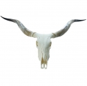 natural shoe horn
